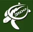 Lightning Turtles logo